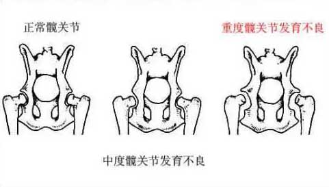 微信图片_20180727164214.jpg