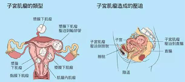 微信图片_20181031170527.jpg