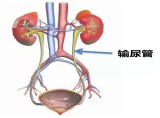 微信图片_20211103101027.jpg