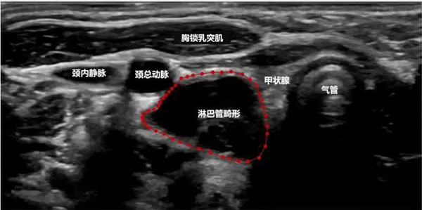 微信图片_20221107110311.jpg