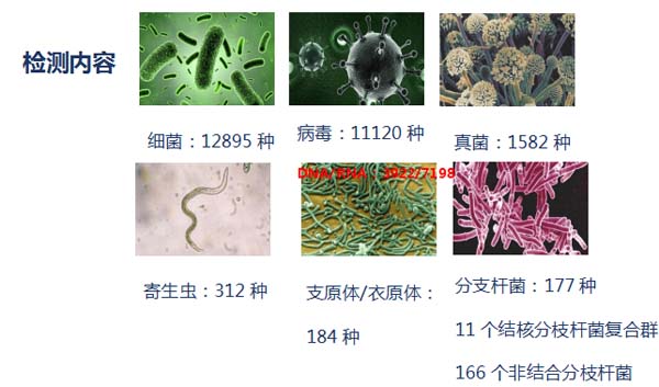 微信图片_20230406115149.jpg