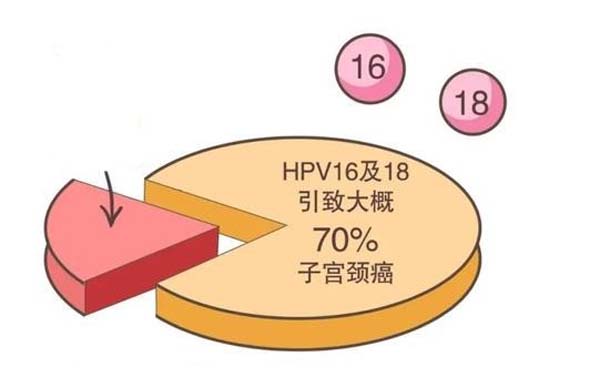 微信图片_20230630105807.jpg