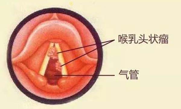 微信图片_20230630105811.jpg