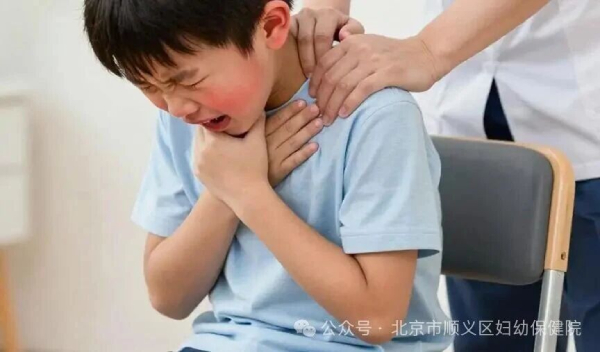 微信图片_2026-10-12_144859_019.jpg
